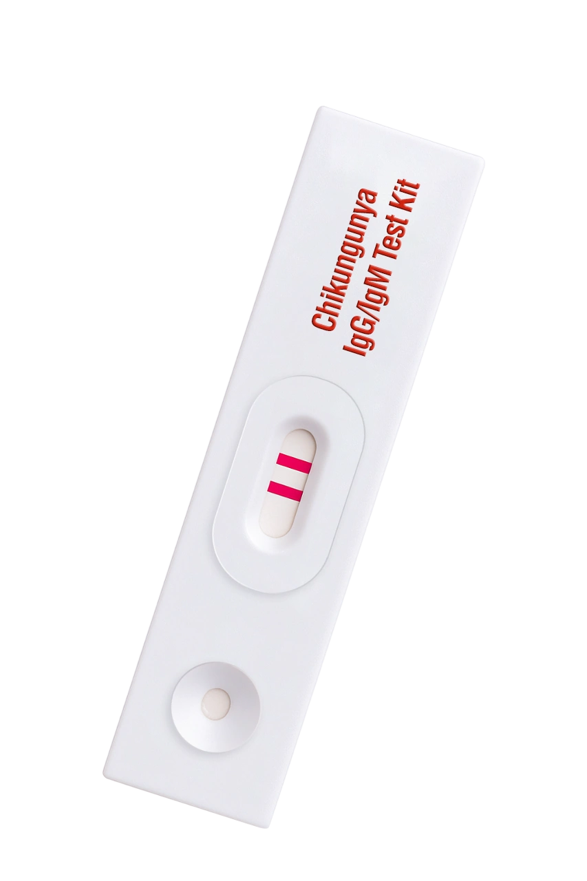 Chikungunya IgG/IgM